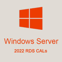 WinServ 2022 RDS CALs